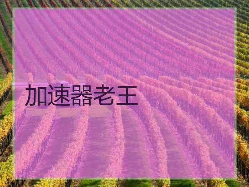 加速器老王