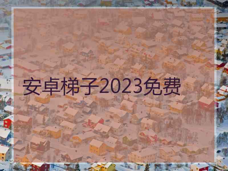 安卓梯子2023免费