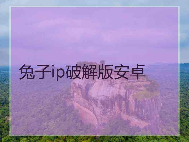 兔子ip破解版安卓