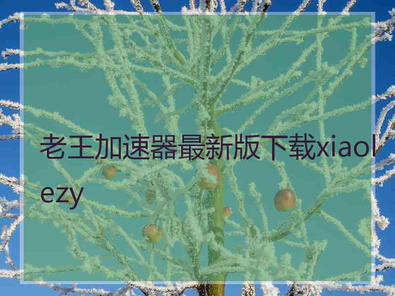 老王加速器最新版下载xiaolezy