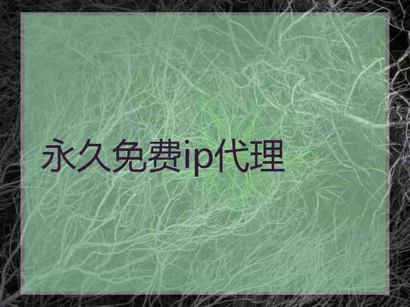 永久免费ip代理