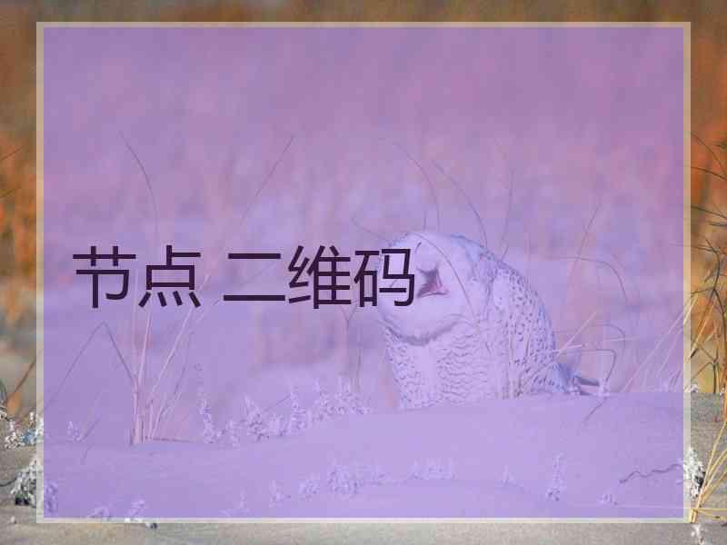 节点 二维码