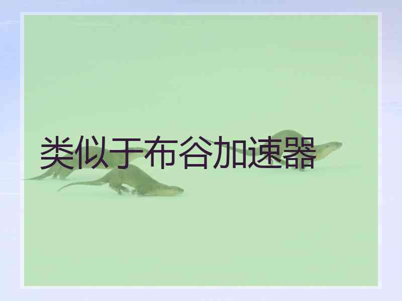 类似于布谷加速器