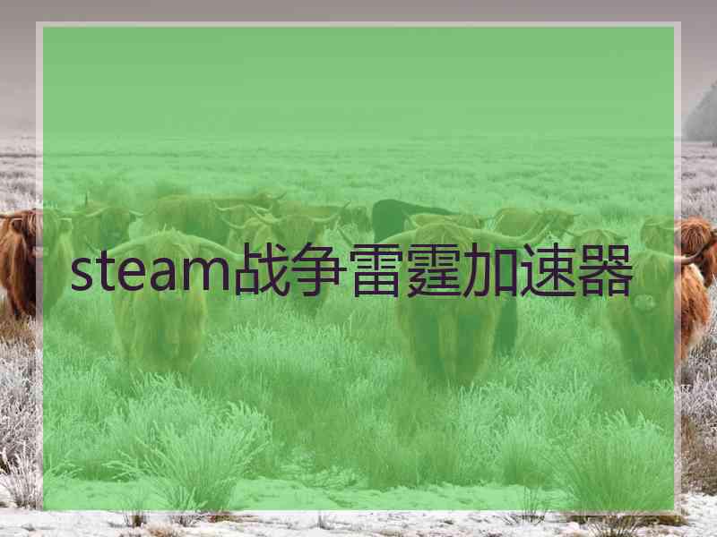 steam战争雷霆加速器