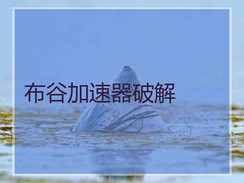 布谷加速器破解