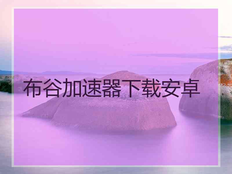 布谷加速器下载安卓