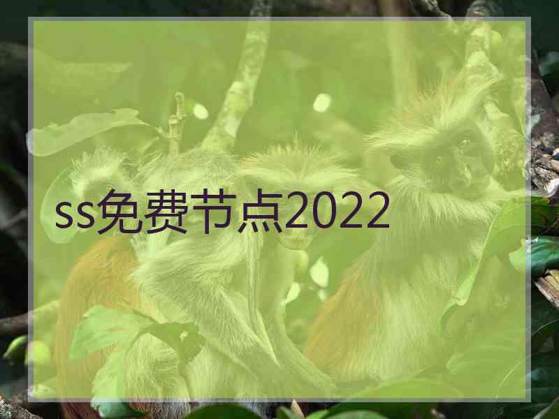 ss免费节点2022