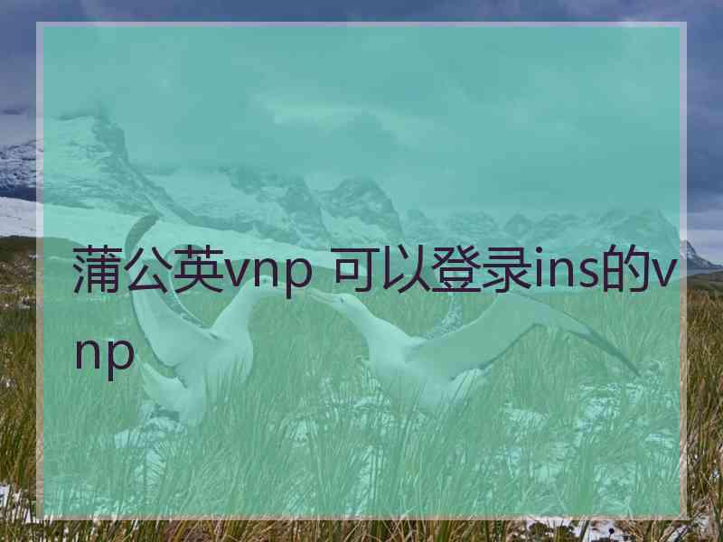 蒲公英vnp 可以登录ins的vnp