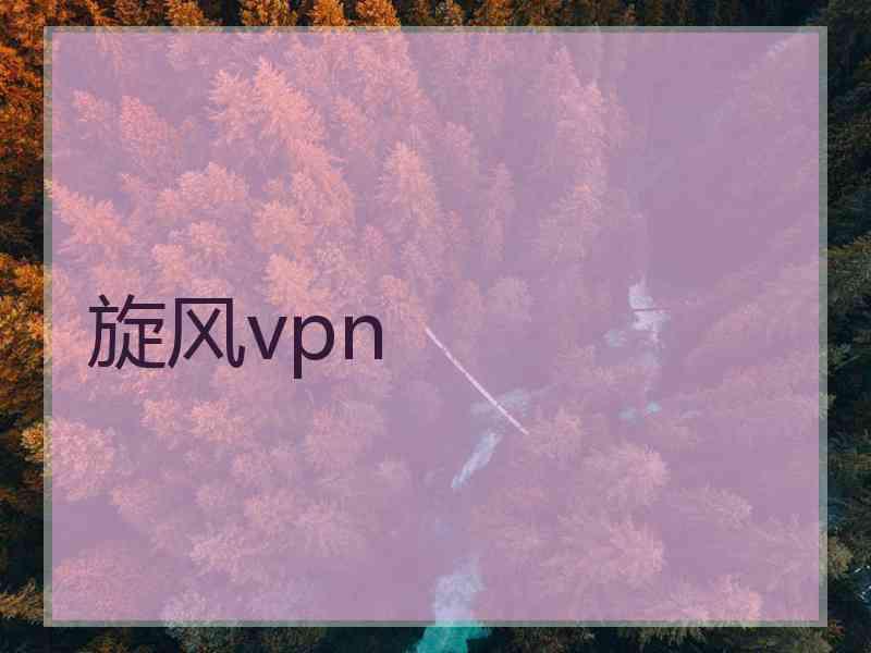 旋风vpn