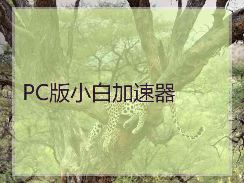 PC版小白加速器