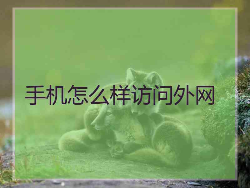 手机怎么样访问外网