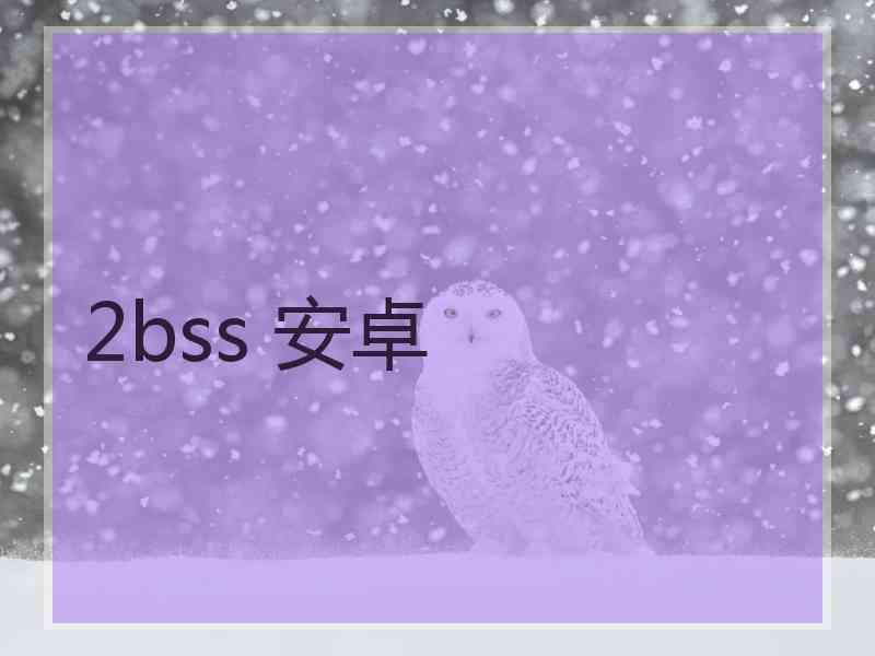 2bss 安卓