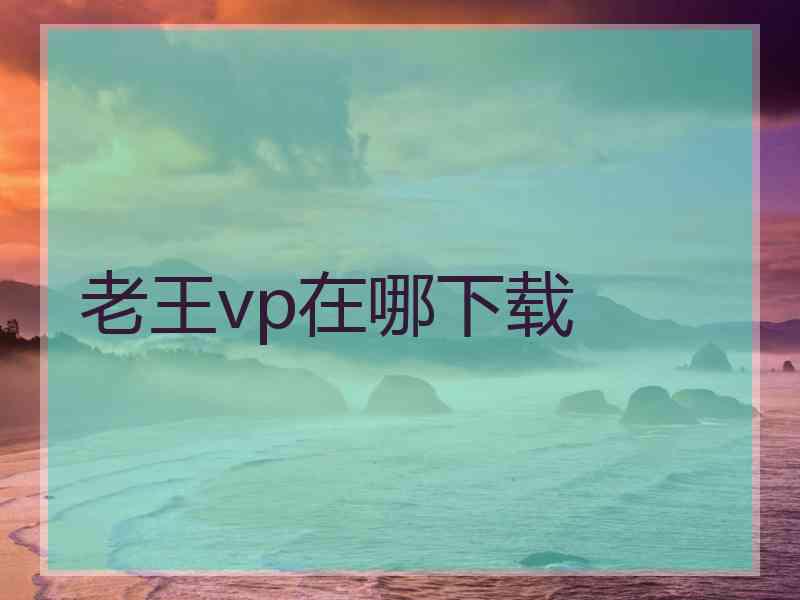 老王vp在哪下载