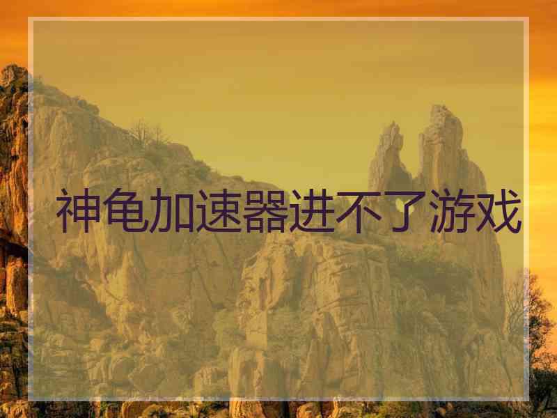 神龟加速器进不了游戏