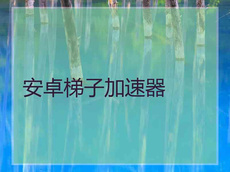 安卓梯子加速器