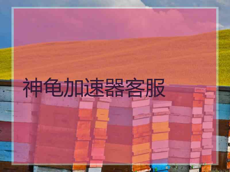 神龟加速器客服