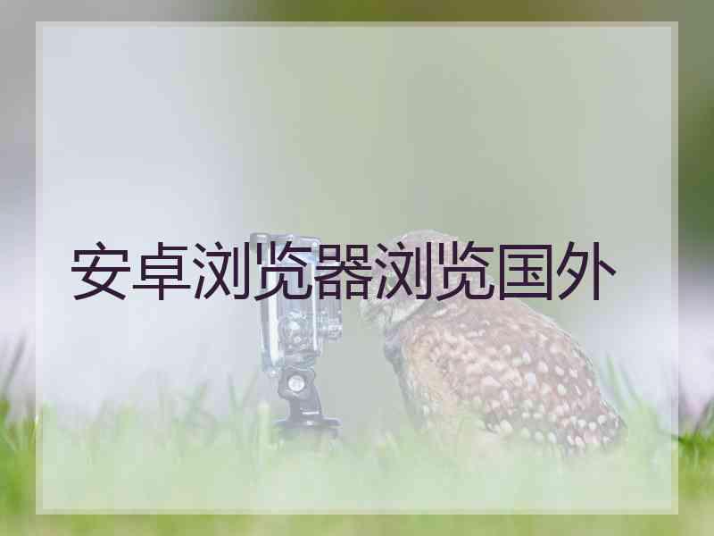 安卓浏览器浏览国外