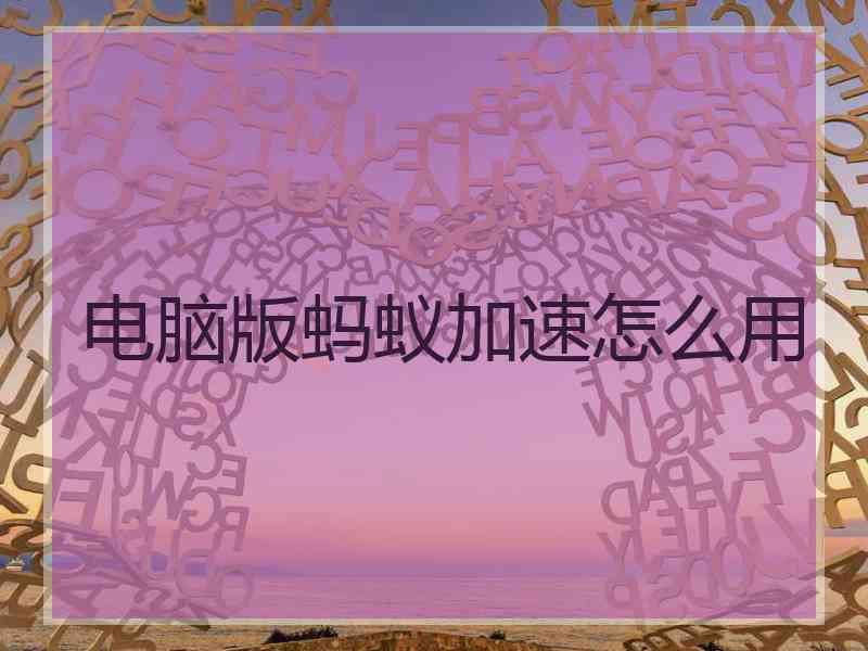 电脑版蚂蚁加速怎么用