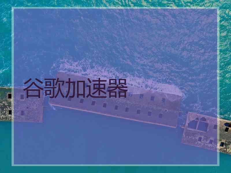 谷歌加速器