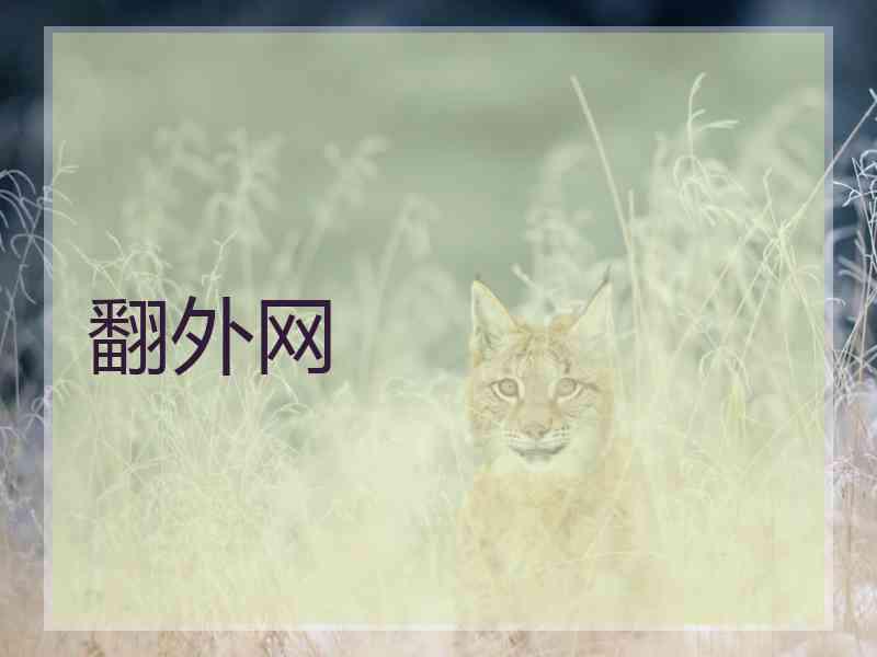 翻外网