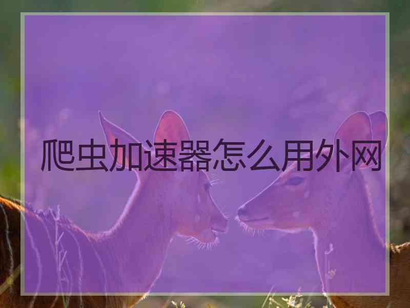 爬虫加速器怎么用外网