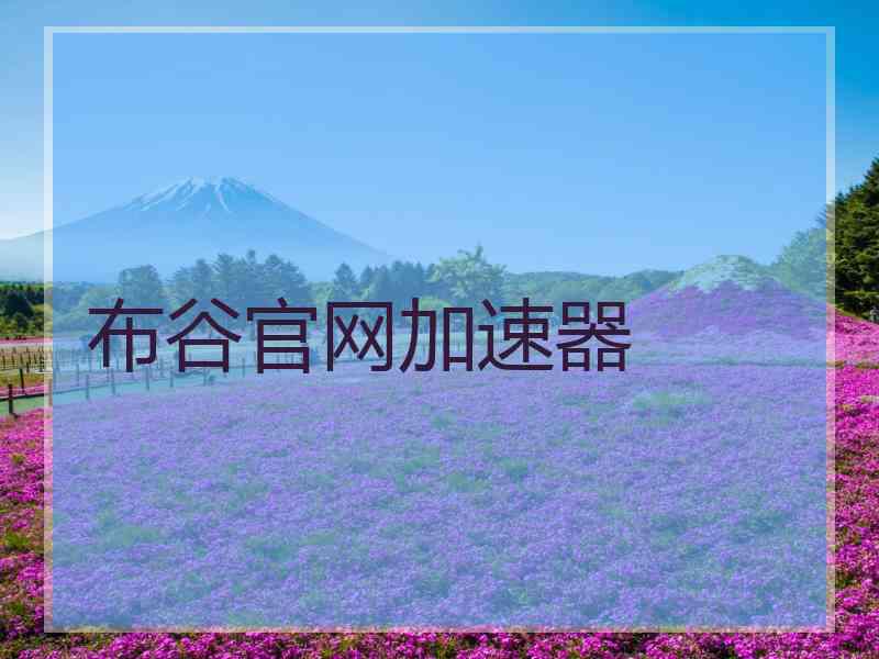 布谷官网加速器