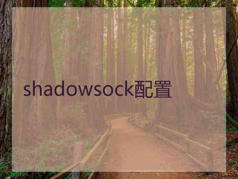 shadowsock配置