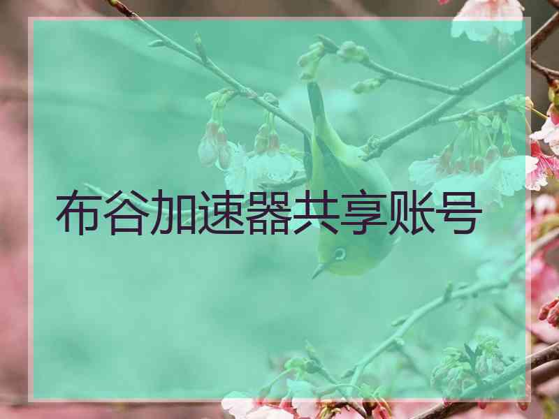 布谷加速器共享账号