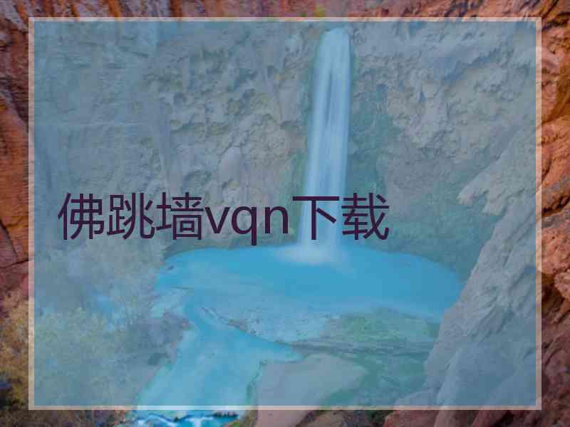 佛跳墙vqn下载