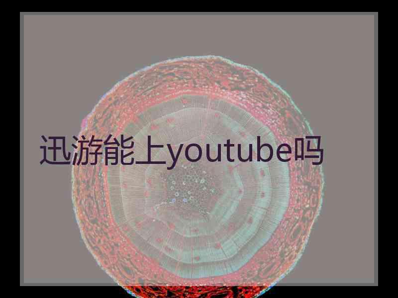 迅游能上youtube吗