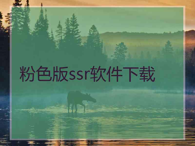粉色版ssr软件下载