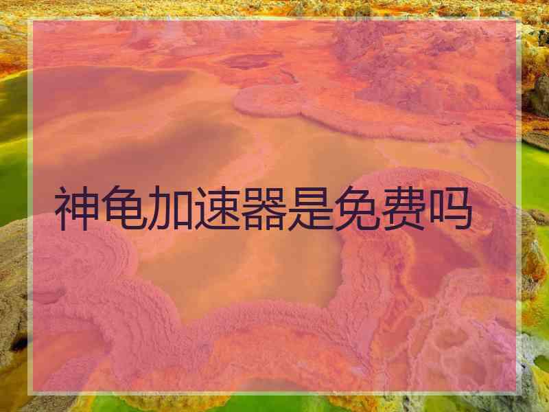 神龟加速器是免费吗