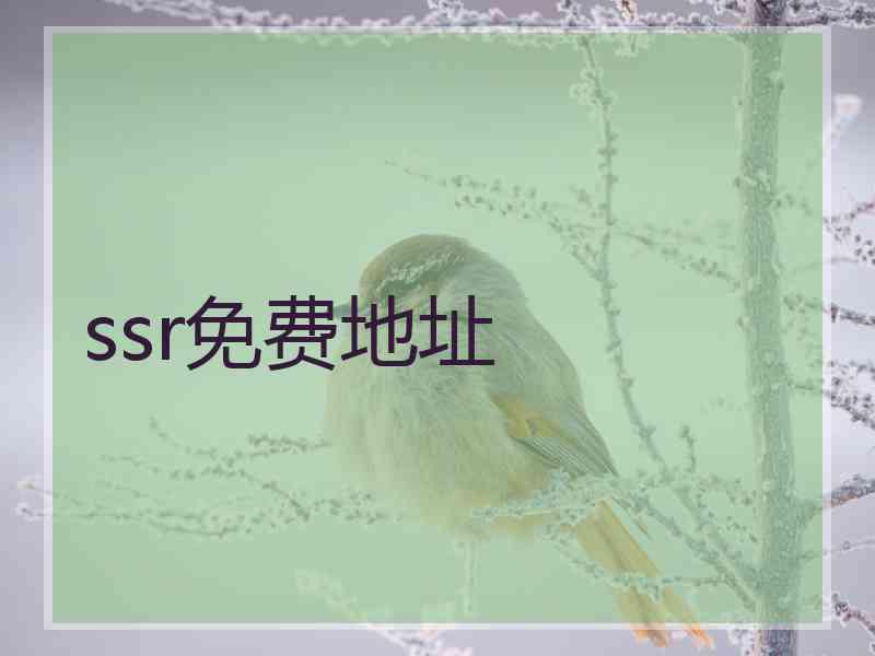 ssr免费地址