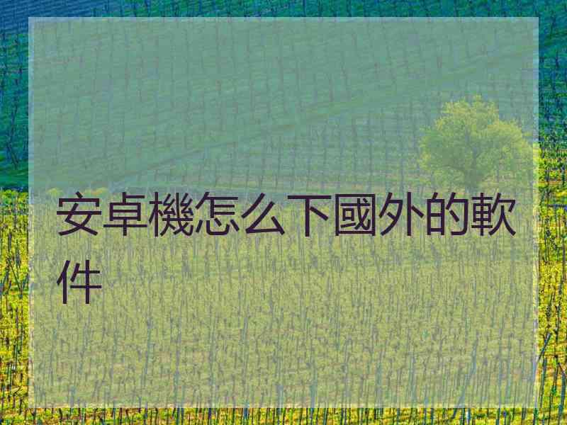 安卓機怎么下國外的軟件