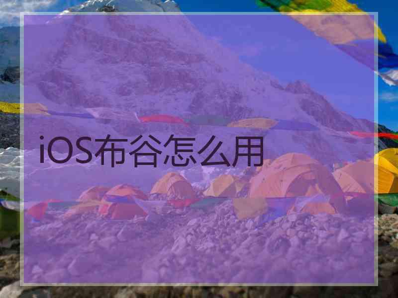 iOS布谷怎么用