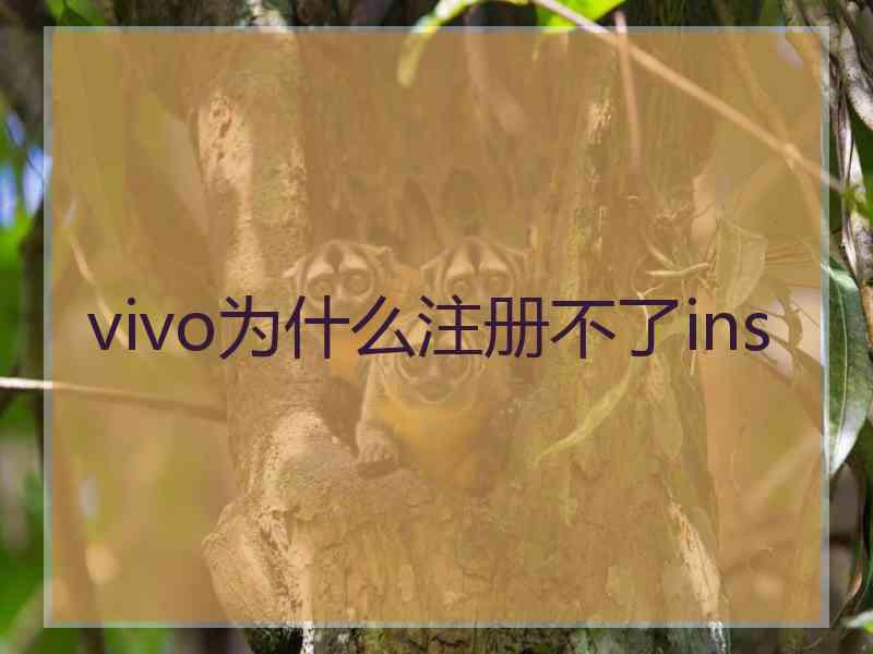 vivo为什么注册不了ins