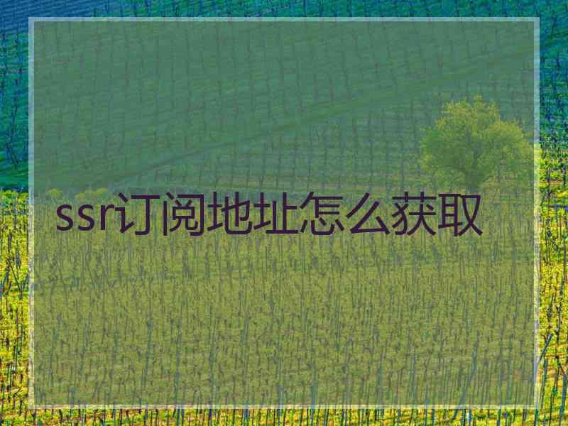 ssr订阅地址怎么获取