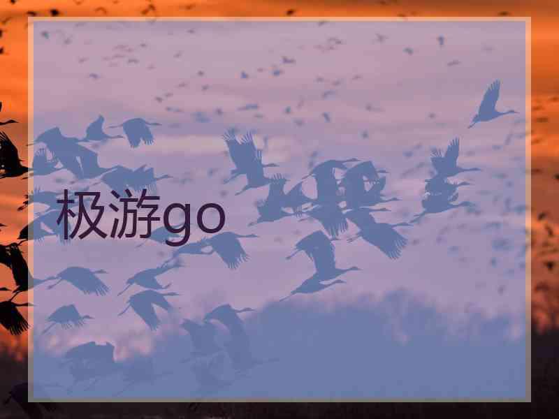极游go