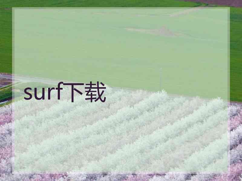 surf下载