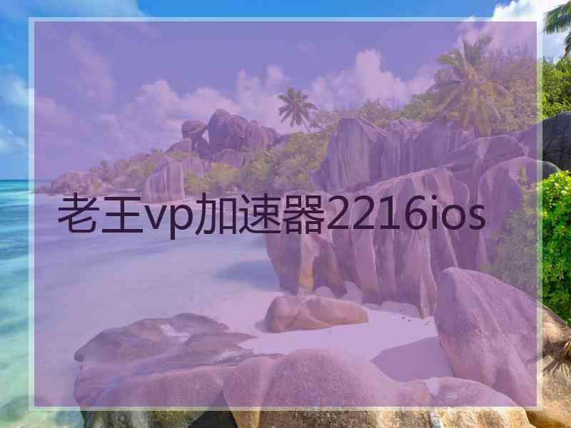 老王vp加速器2216ios