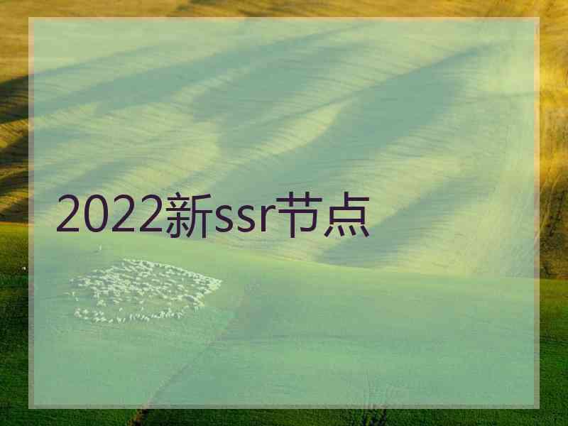 2022新ssr节点