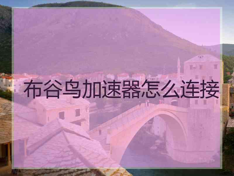 布谷鸟加速器怎么连接