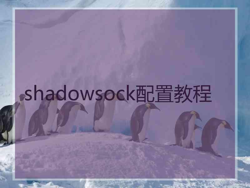 shadowsock配置教程