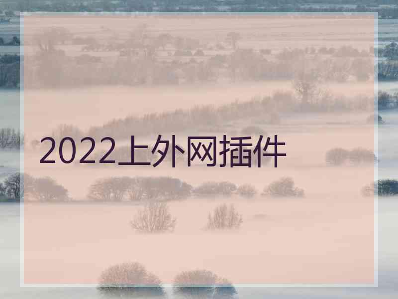 2022上外网插件