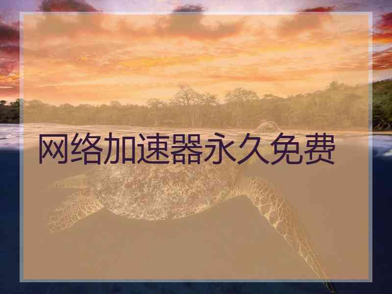网络加速器永久免费
