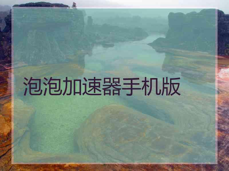 泡泡加速器手机版