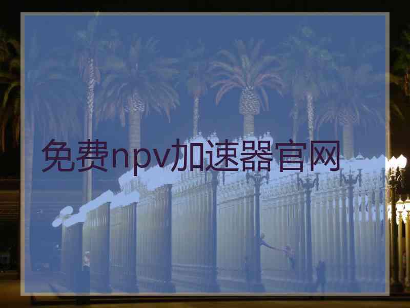 免费npv加速器官网