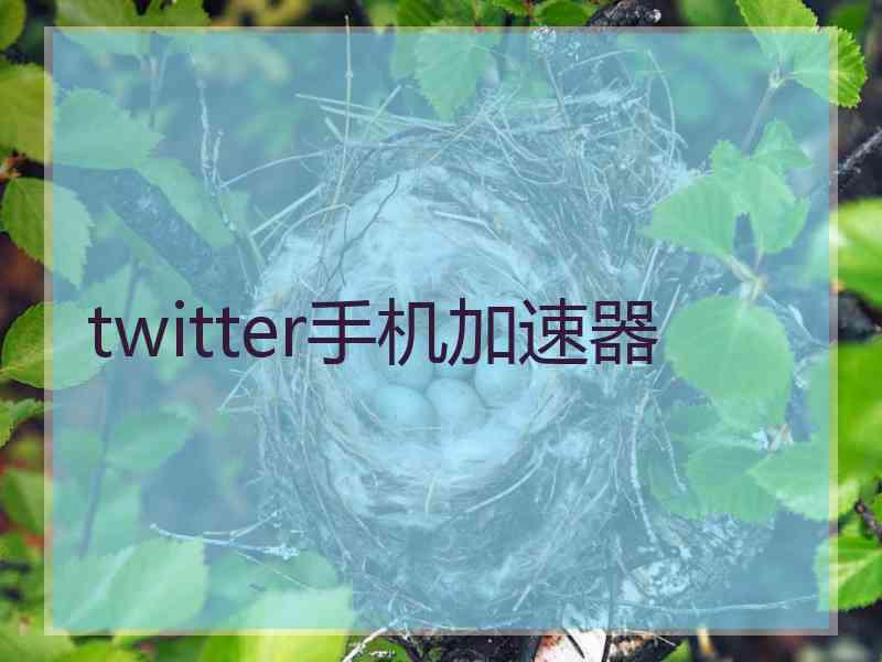 twitter手机加速器