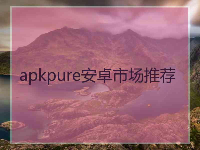 apkpure安卓市场推荐