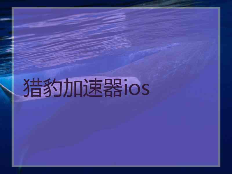 猎豹加速器ios